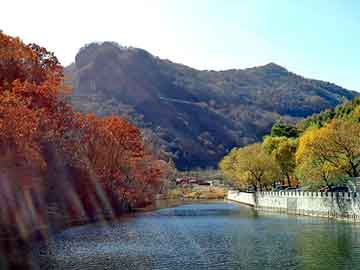 新澳天天开奖资料大全旅游团，东风景逸论坛